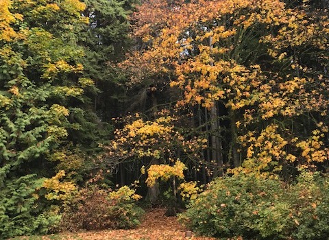 World Values Day 2019